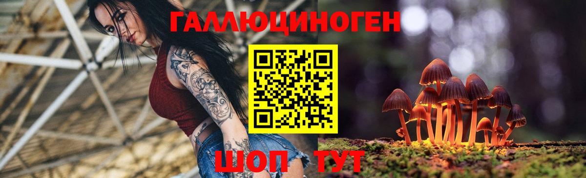 Елабуга  магазин  наркотиков  Вход с VPN  Галлюциногенные грибы Magic Shrooms 